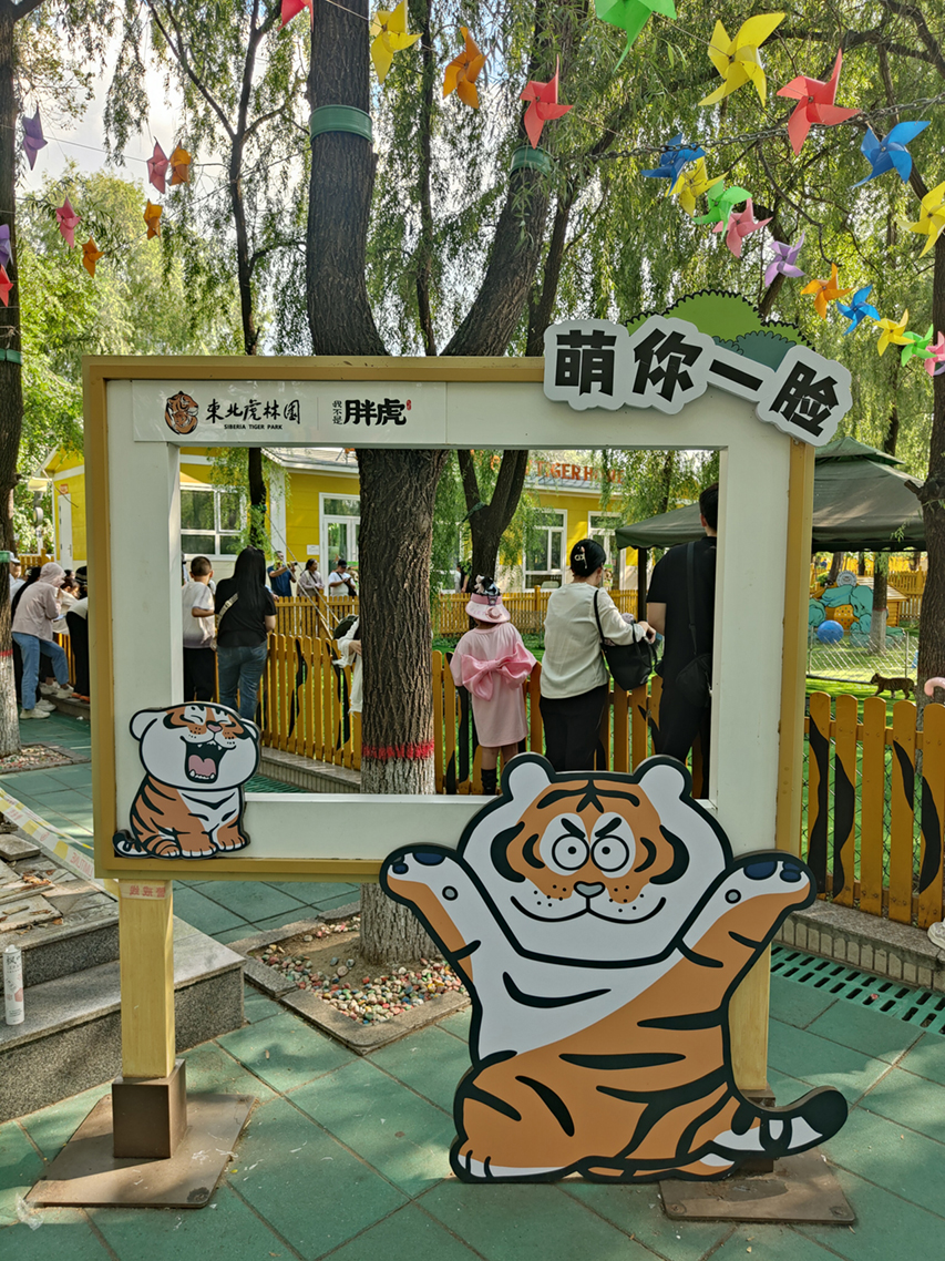 太阳集团tcy8722(中国集团)有限公司官网